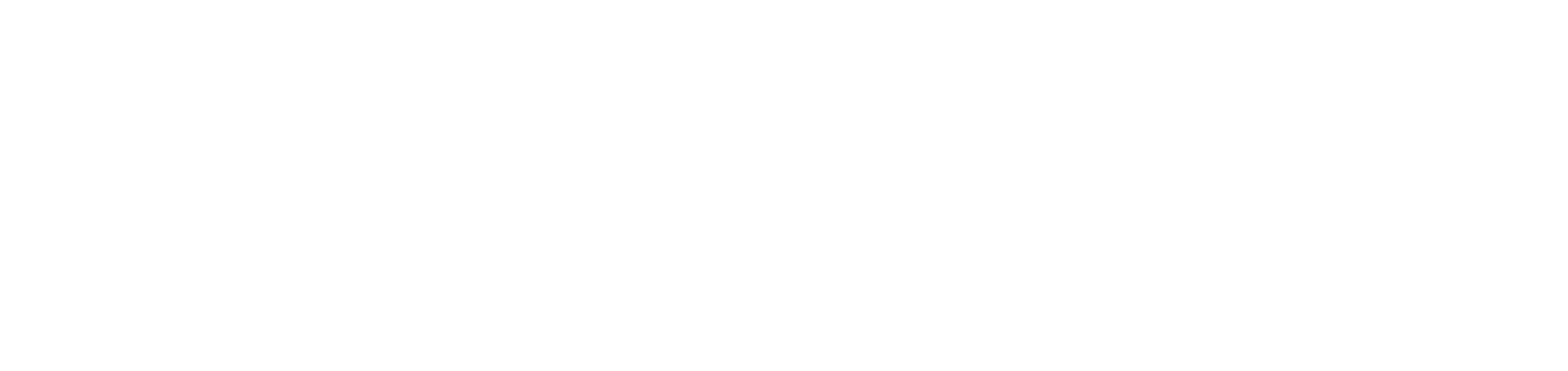 White wordmark